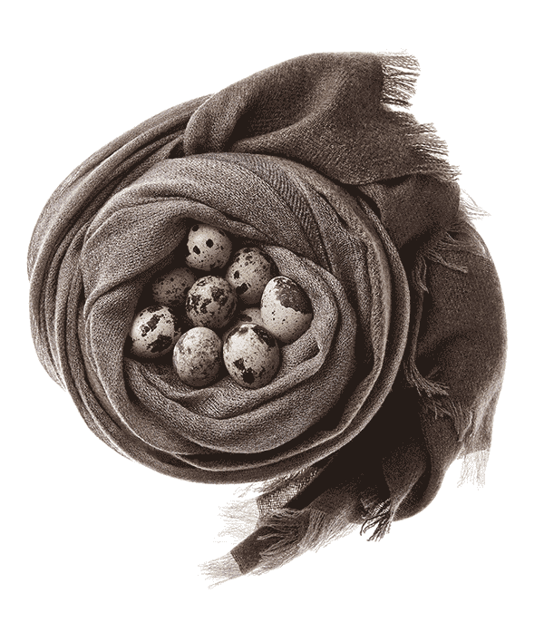 BAMFORD BRAND IMAGERY